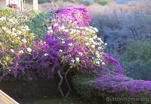 01 Balcony view left