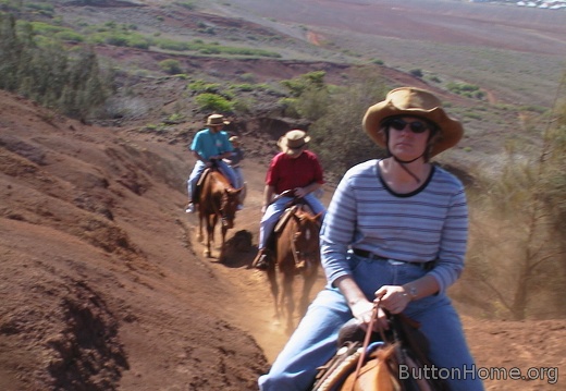 06 On the horse trail