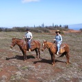 09 From horses with Molokai and Maui background