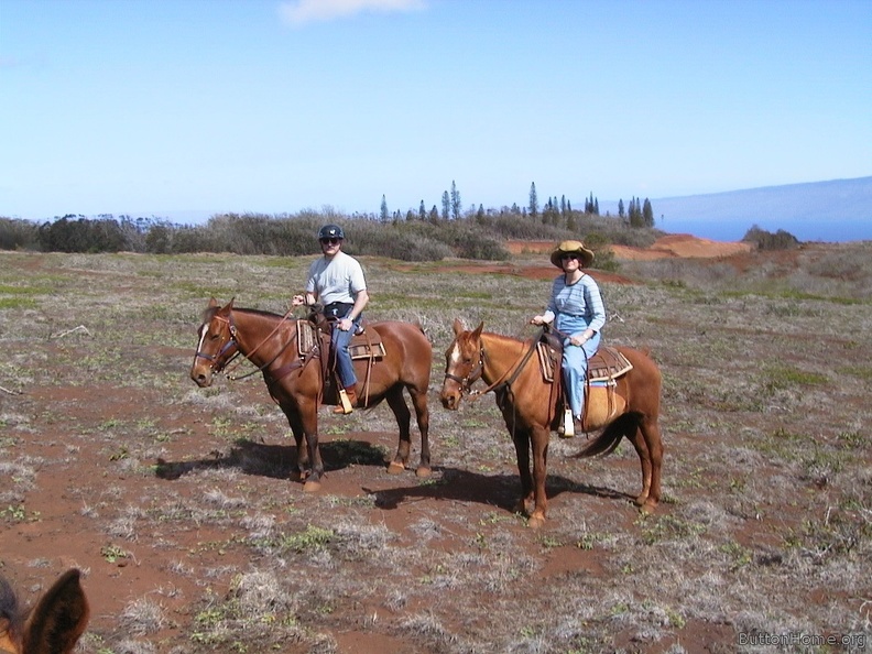 09_From_horses_with_Molokai_and_Maui_background.jpg
