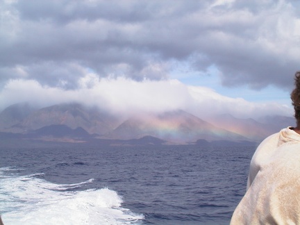 20 Maui Rainbow