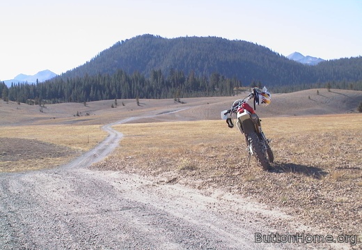 03 Trail into the forest