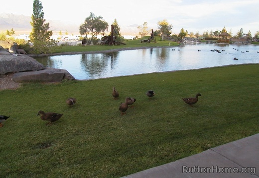 04 Death Valley hotel visitors