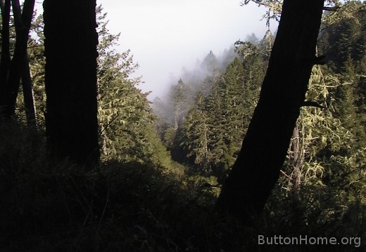 17 Fog rolls into the canyon