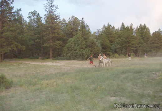 p7050015