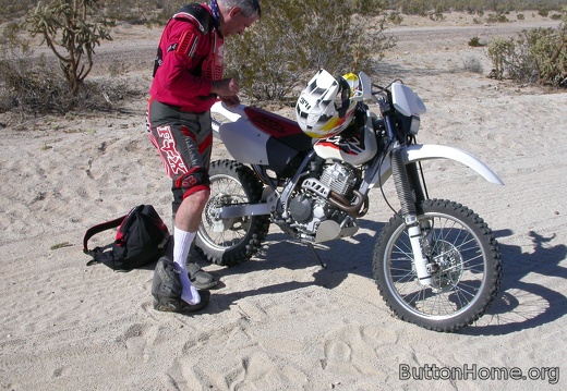 cactus needles in the leg