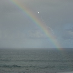 Caught a rainbow on Maui north coast