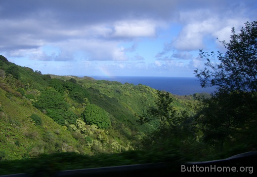 Rainforest on the east side of Maui
