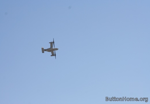 IMG 5003