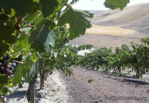 2012-08-04 16-03-52 650