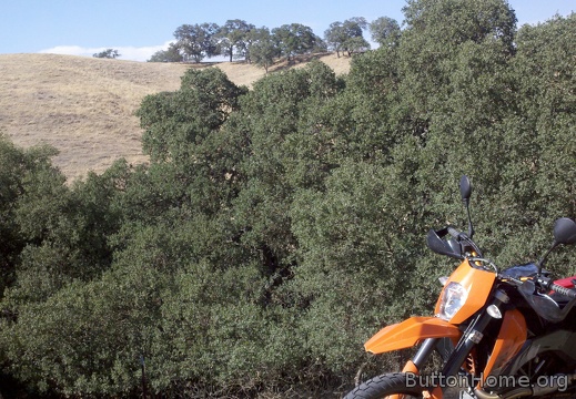 2012-08-04 16-42-11 490