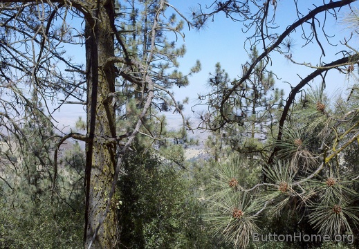 2012-08-25 14-20-16 473