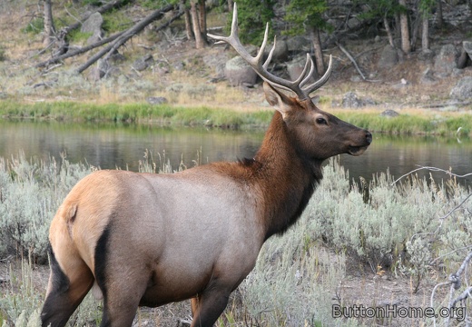 Yellowstone Camping Trip