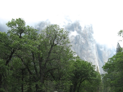 Gloomy Yosemite