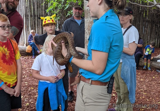 Arrival animal experience with a python