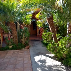 Room at Jardines Baja