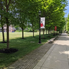 Field in front of Ricketts building