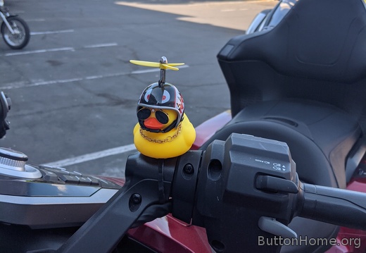 Adventure Ducky in Carson City