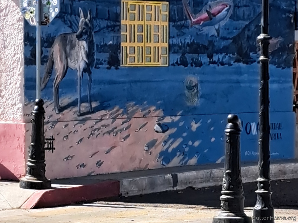 coyote mural