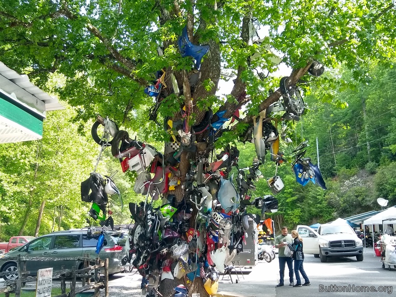 "tree of shame" at Deals Gap on the Tail of the Dragon