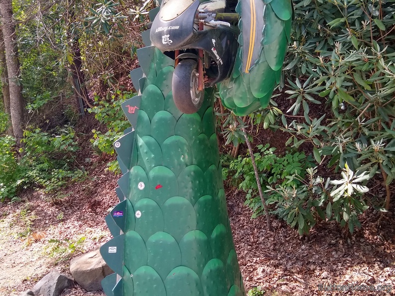 Dragon grabs a moto