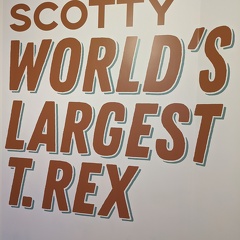 Scotty world's largest T.Rex