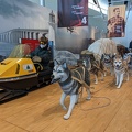 dog sled with snowmobile sled