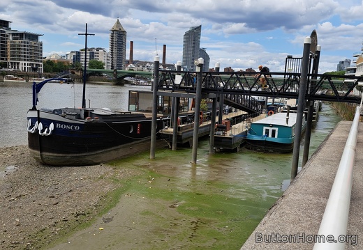 Thames River low tide
