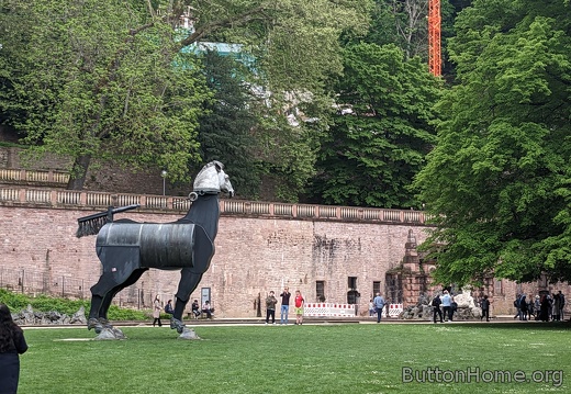 PXL 20230514 115057556