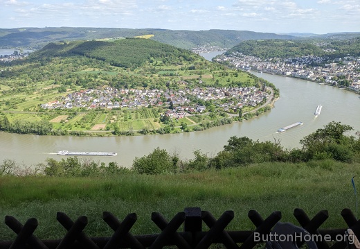 Rhine gooseneck