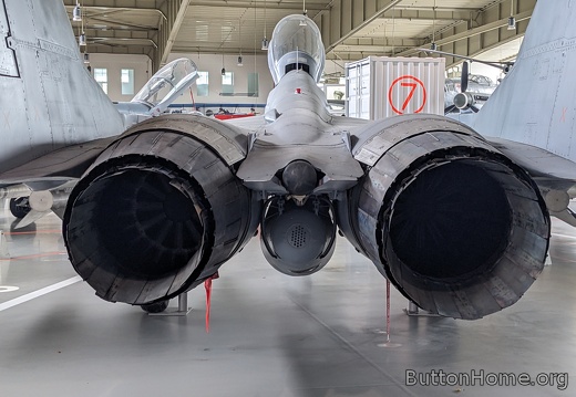 Mikoyan MiG-29 rear