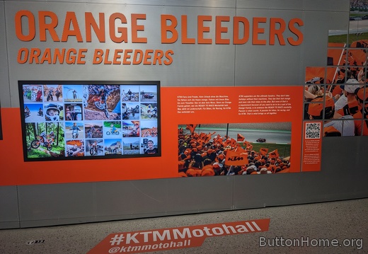 Orange Bleeders