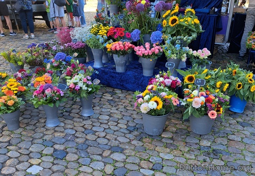 Freiburg market