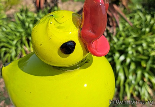glass duck