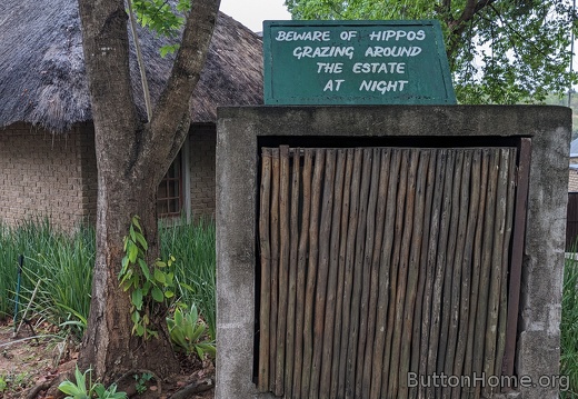 beware of hippos