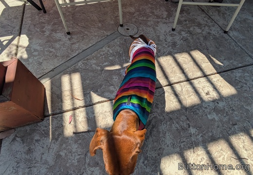 PXL 20250607 230155333