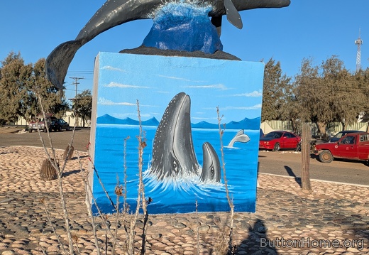 PXL 20251210 233848777