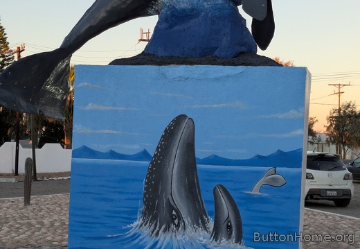 PXL 20251211 003123133