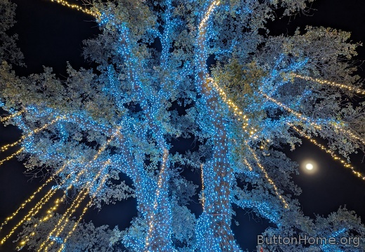 PXL 20251203 033544335