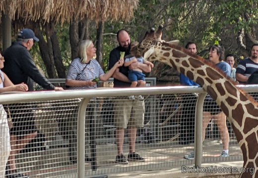 PXL 20250216 201723549