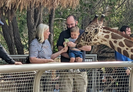 PXL 20250216 201731512