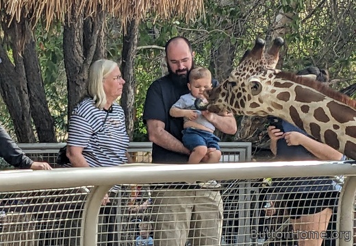 PXL 20250216 201733057