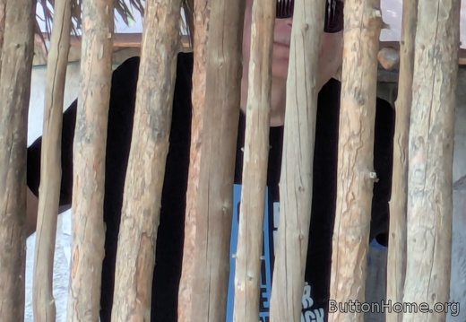 PXL 20250216 202949824