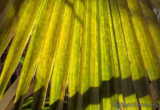 PXL 20250216 203801559