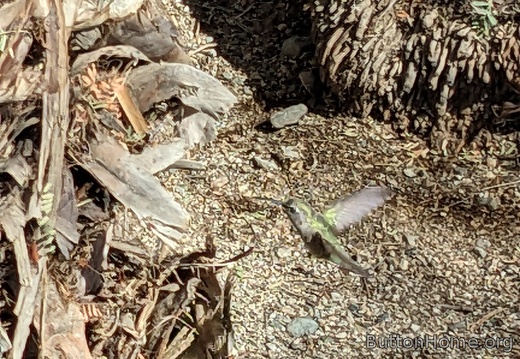 PXL 20250216 203908116