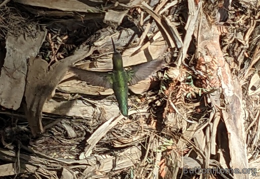 PXL 20250216 203912376