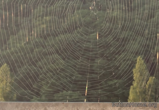 PXL 20250619 043338818