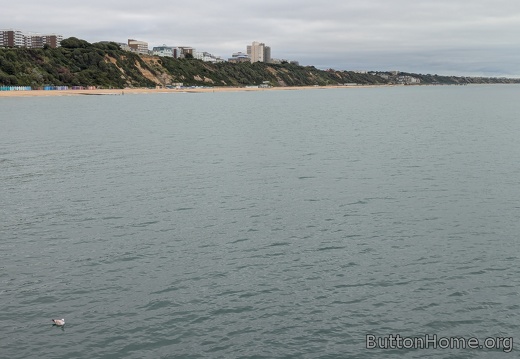 PXL 20250625 073723976