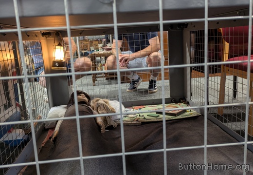 Morrison shelter