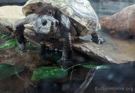 PXL 20250320 202648962